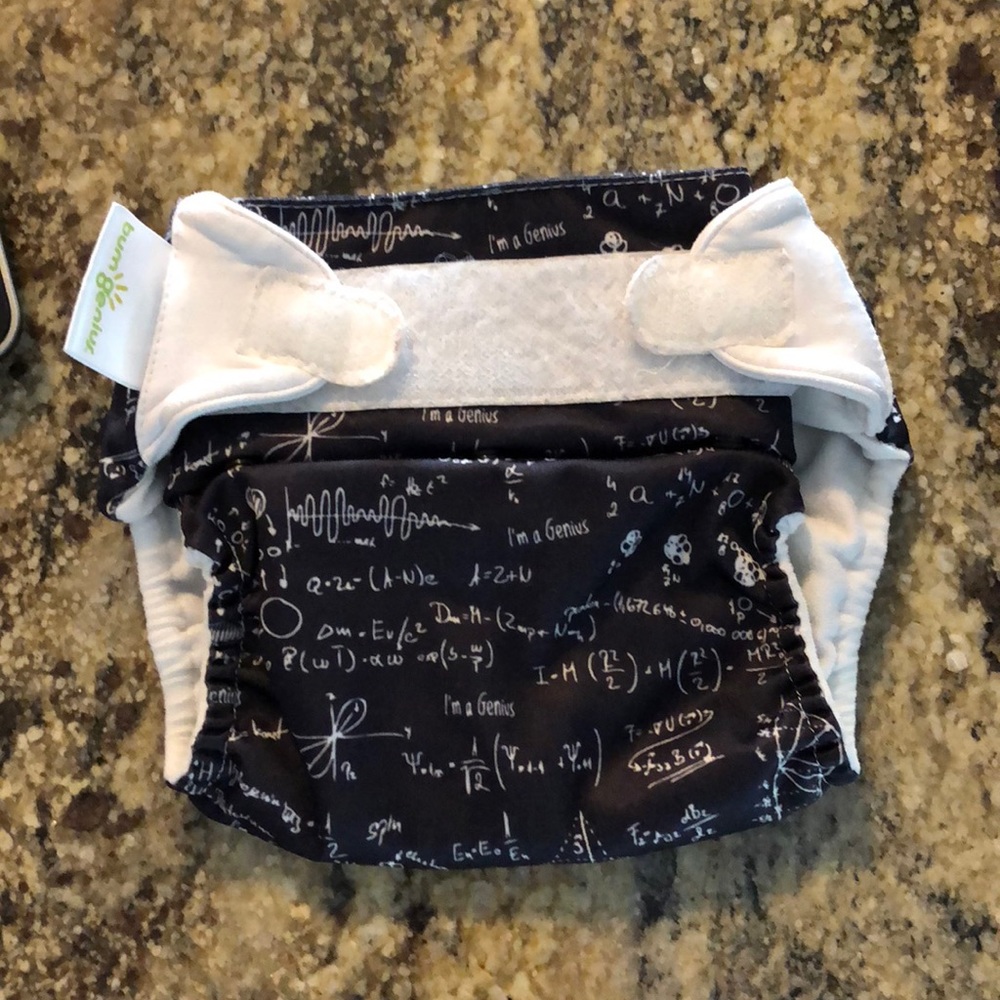 4.0 Bum Genius Albert